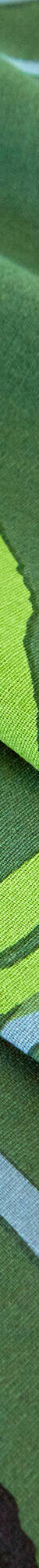 Linge de lit Noémie polycoton imprimé cercles (vert) Linge de lit Noémie polycoton imprimé cercles (vert)
